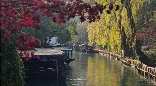 画中游，梦栖南浔